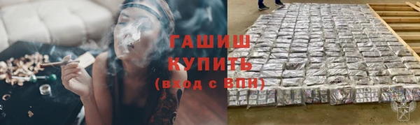 стаф Аркадак