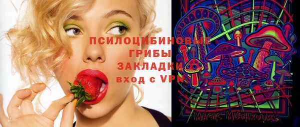 ПСИЛОЦИБИНОВЫЕ ГРИБЫ Алексеевка