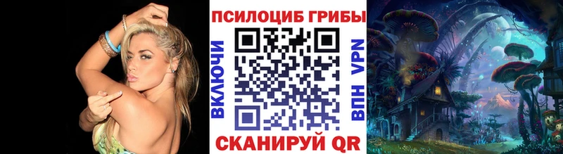Галлюциногенные грибы прущие грибы  Купить  Казань 