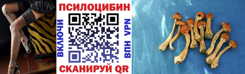 Галлюциногенные грибы Magic Shrooms Казань